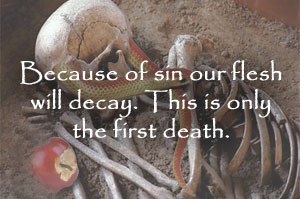 Death is decay.